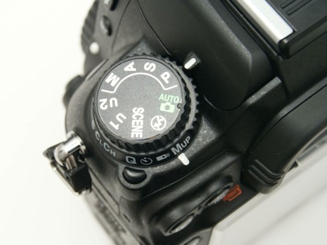 Nikon-D7000_17-55mm (23).JPG
